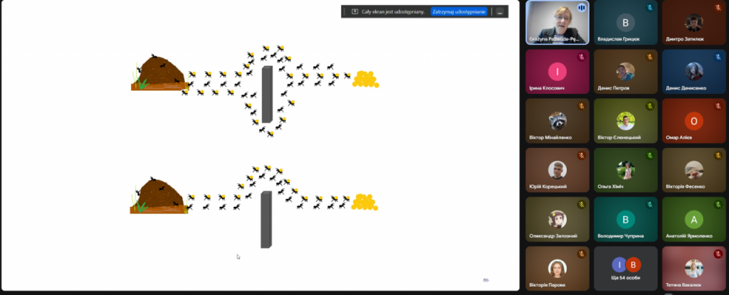 The screenshot of the lecture: an ilustration of finding the shortest way by ants and icons of lecture participants.